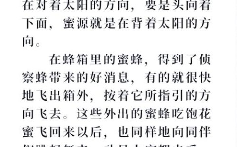 蜜蜂的舞蹈语言（蜜蜂的舞蹈语言董诗浩）