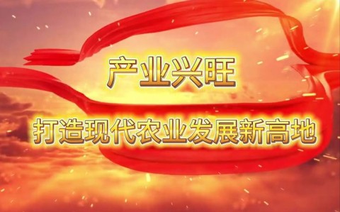 农业农村现代化推进（推进农业农村现代化发展面临哪些新任务?）