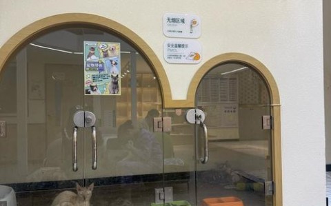 社区宠物托儿所（宠物托管店）