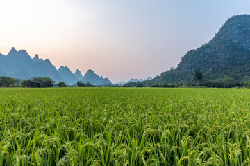 辅助神器“同城跑胡子开挂”开挂(透视)辅助教程