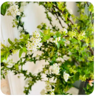 从“加快建立”到“推行制度”，长护险如何实现覆盖3亿人