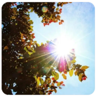 分析：全球能源市场的干扰或为期短暂