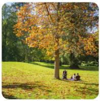 黄力晨:油价回落缓解通胀担忧 支撑黄金短线反弹