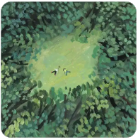 黄力晨:油价回落缓解通胀担忧 支撑黄金短线反弹