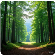 黄力晨:油价回落缓解通胀担忧 支撑黄金短线反弹