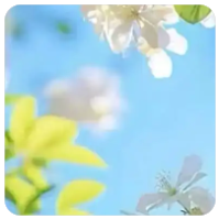 黄力晨:油价回落缓解通胀担忧 支撑黄金短线反弹