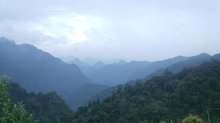 广东自然保护地建设(广东国家级自然保护区)