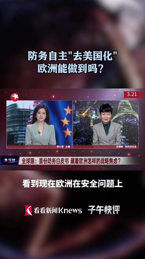欧洲防务自主化（欧洲防务计划）