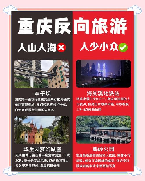 反向旅游新玩法(什么是反旅游)