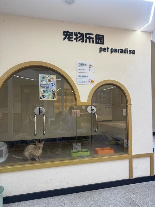 社区宠物托儿所（宠物托管店）