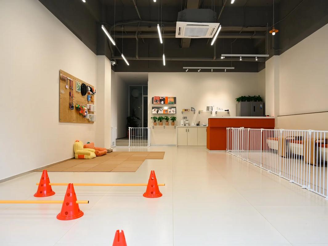 社区宠物托儿所（宠物托管店）