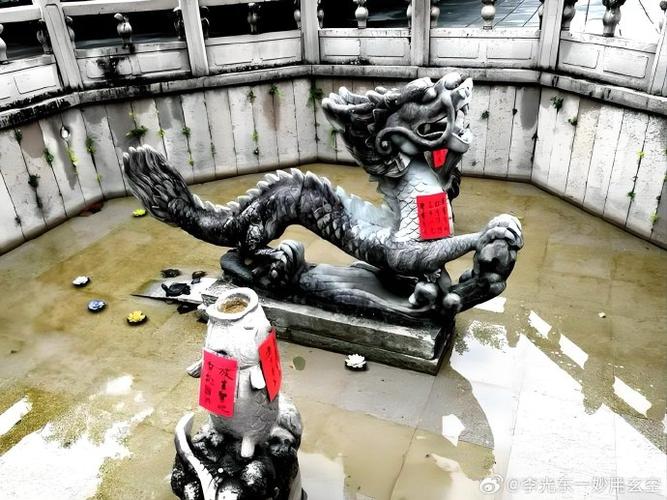 许愿池硬币变善款(许愿池扔硬币的传说)