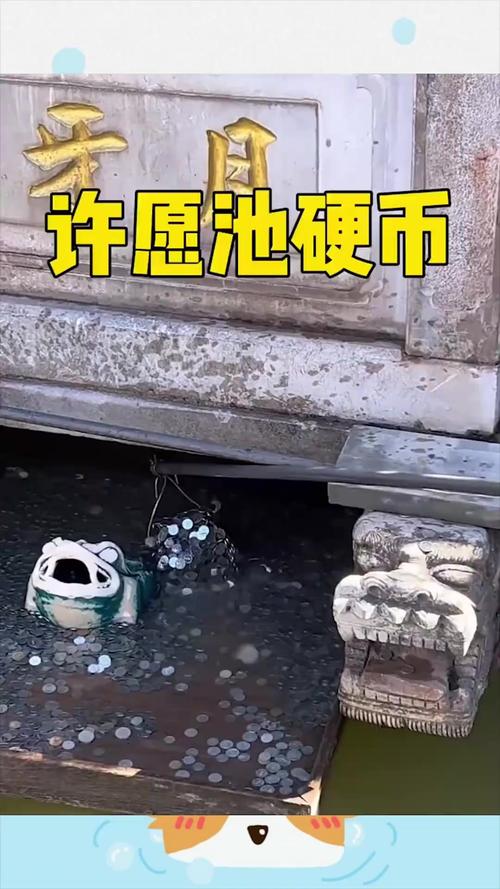 许愿池硬币变善款(许愿池扔硬币的传说)