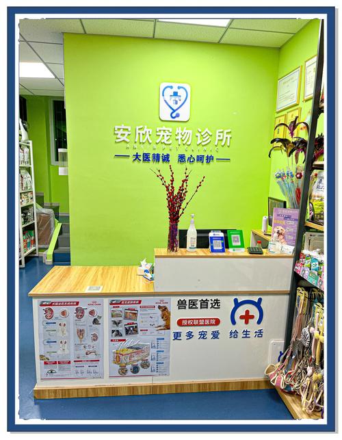 宠物医院相亲角(宠物相亲网站)