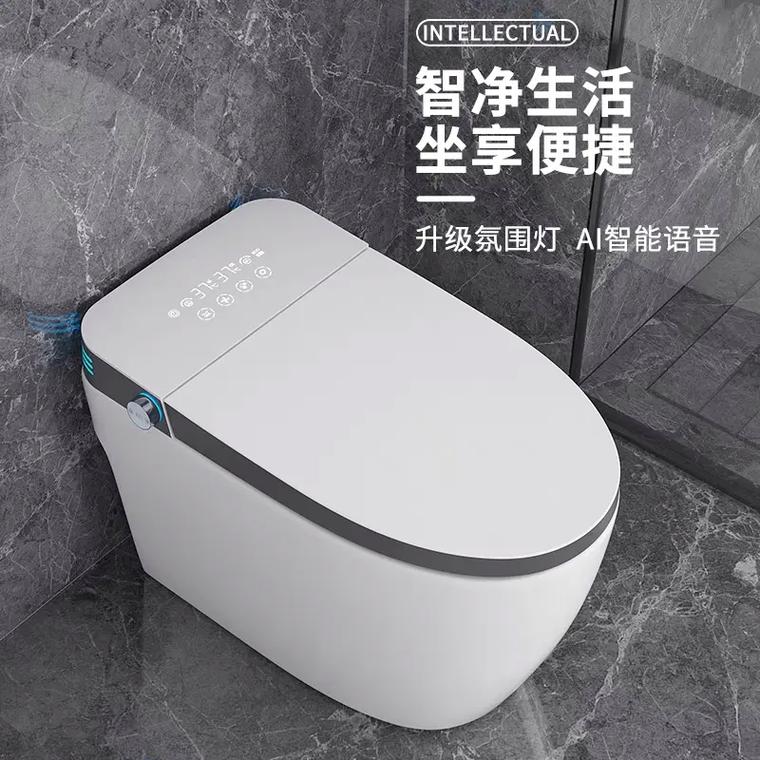智能马桶社交（智能马桶厂）