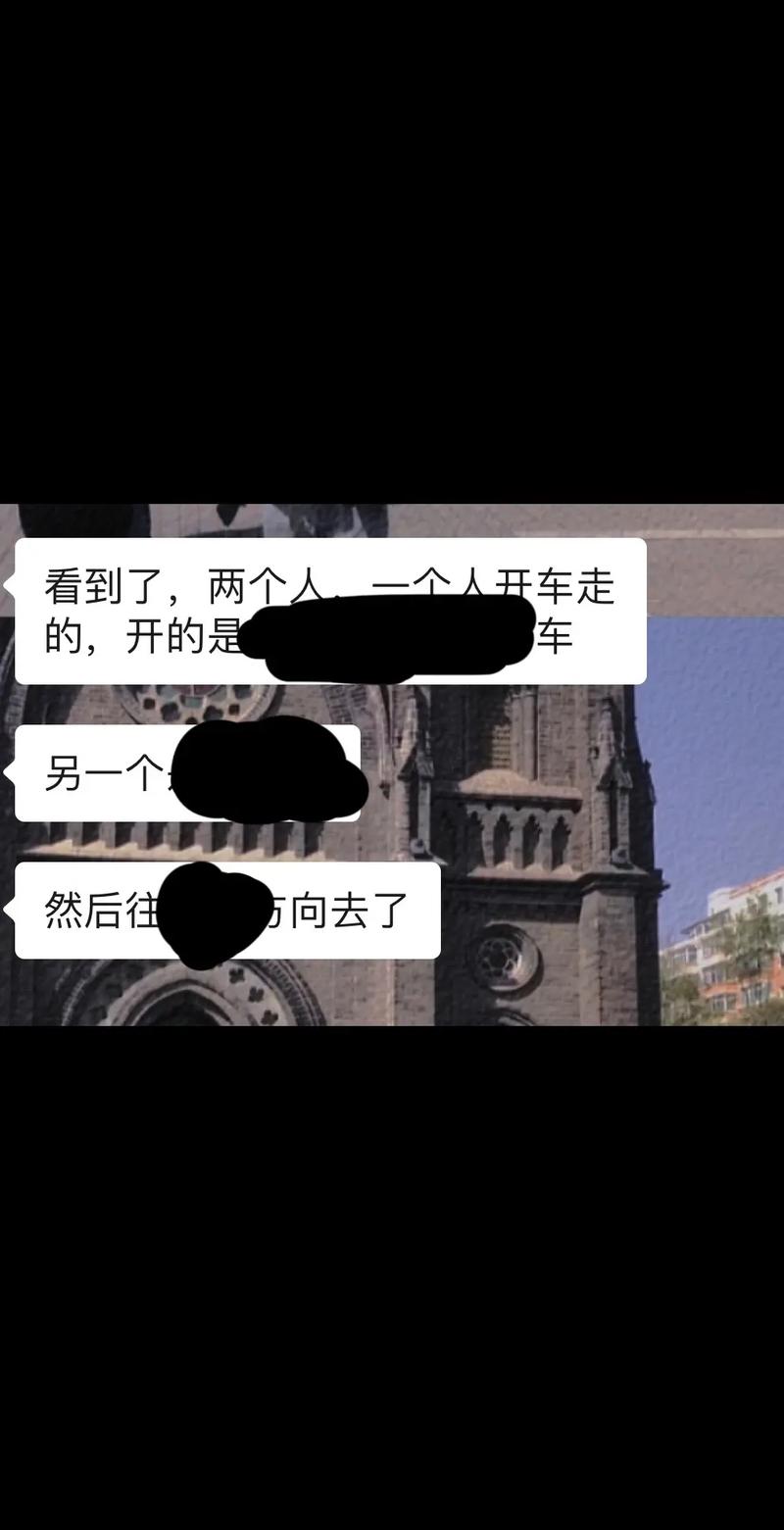 笨贼偷车推3公里(偷车贼2)