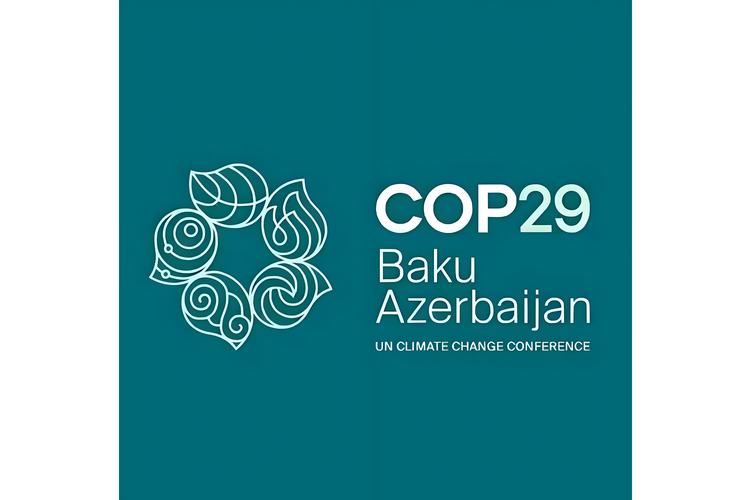 联合国气候变化（联合国气候变化大会cop28）
