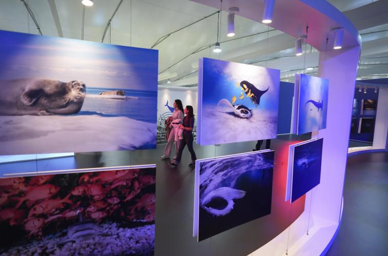 联合国气候变化（联合国气候变化大会cop28）