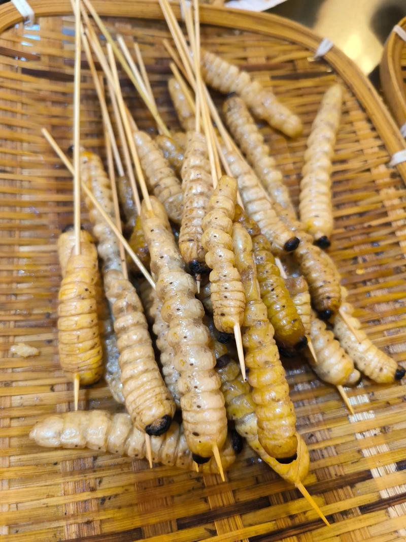 昆虫美食节试吃（昆虫美食节试吃视频）