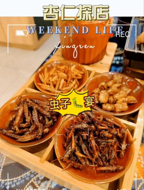 昆虫美食节试吃（昆虫美食节试吃视频）