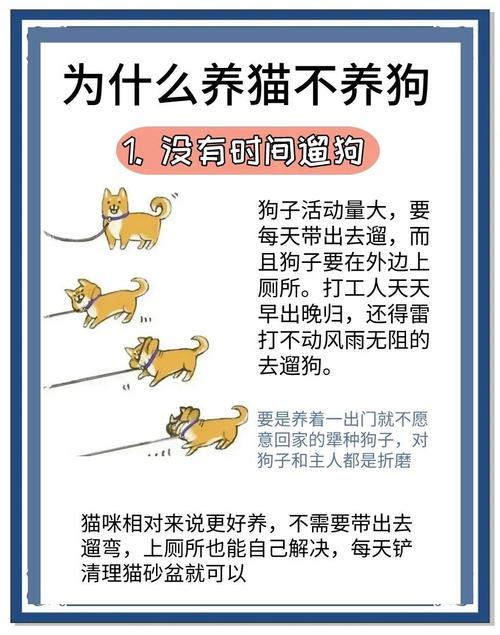区块链养猫（区块链养狗的模式能维持多久）