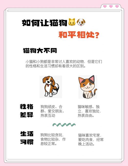 区块链养猫（区块链养狗的模式能维持多久）
