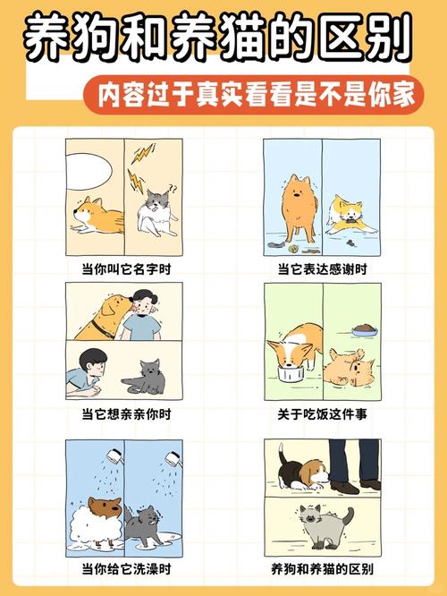 区块链养猫（区块链养狗的模式能维持多久）