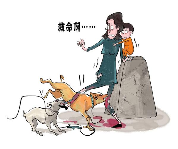 宠物伤人事件（宠物伤人视频）