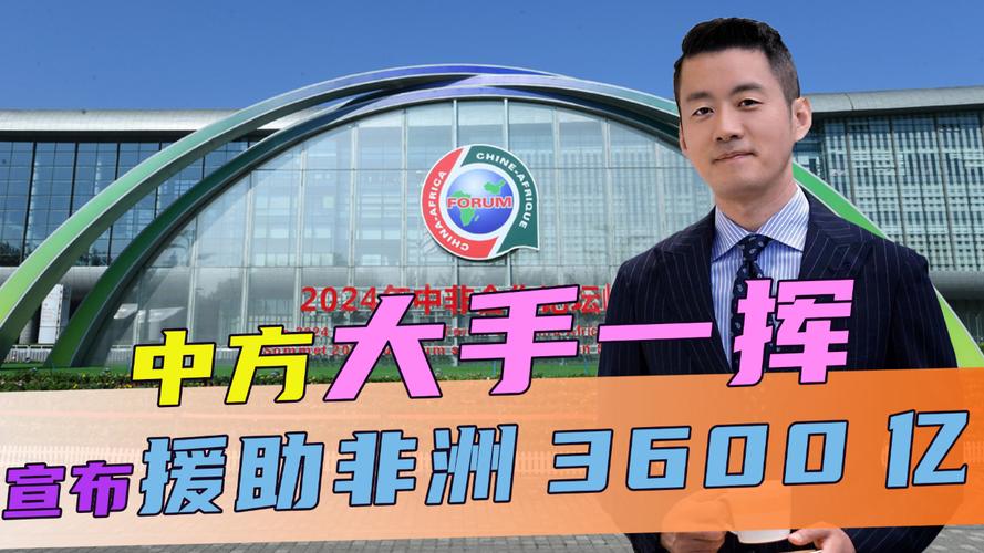 非洲发展援助（非洲的援助）