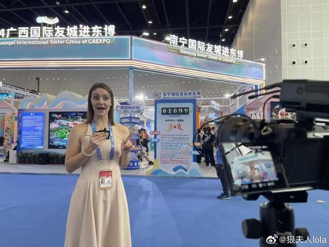 东博会友城参展（东博会展览）