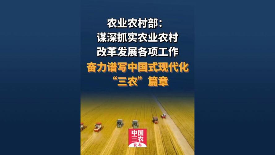 农业农村现代化推进（推进农业农村现代化发展面临哪些新任务?）