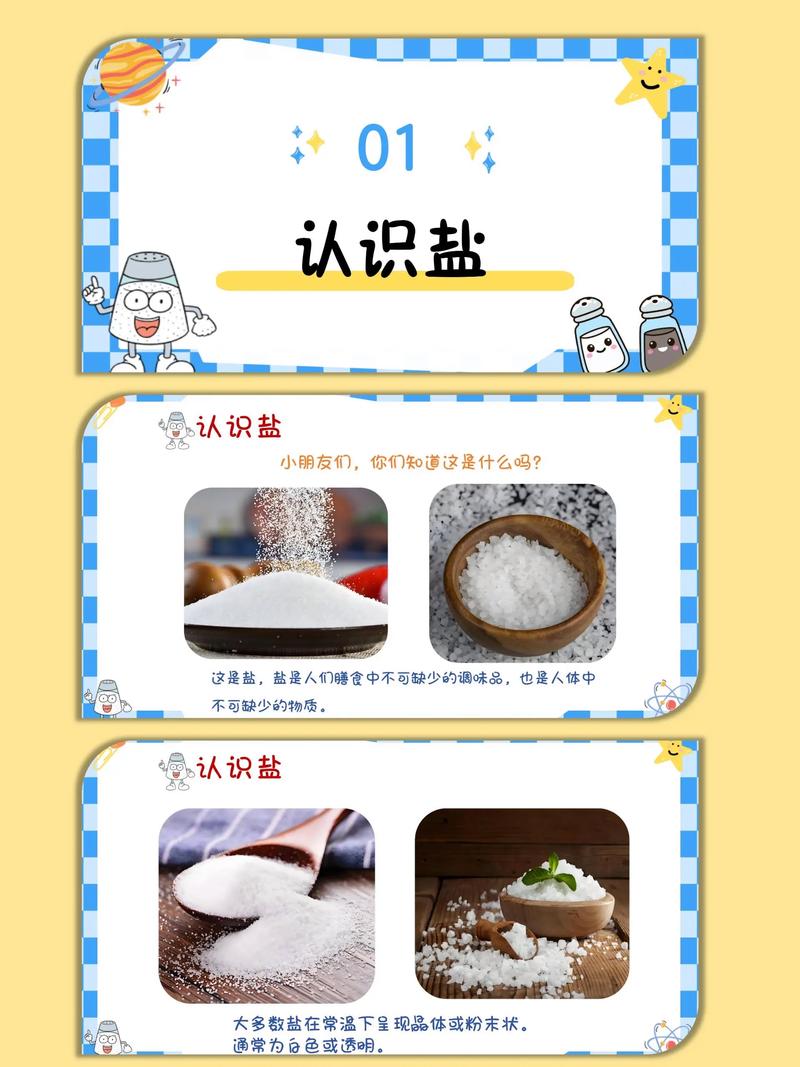 调味品科学（调味品科学中班）