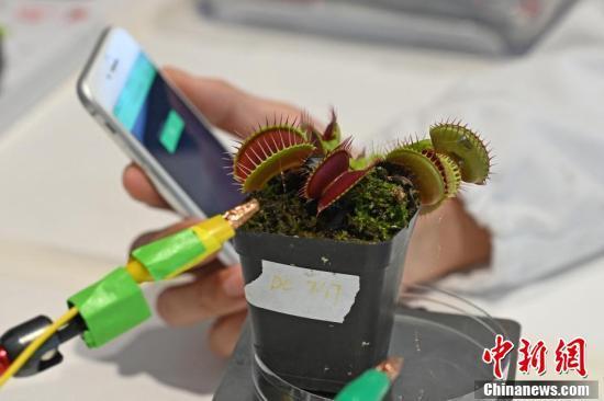 植物通讯（植物通讯设备）