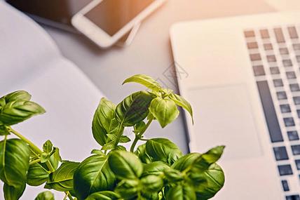 植物通讯（植物通讯设备）