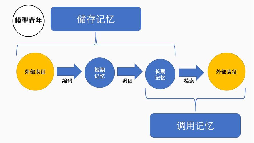 记忆机制（大脑记忆机制）