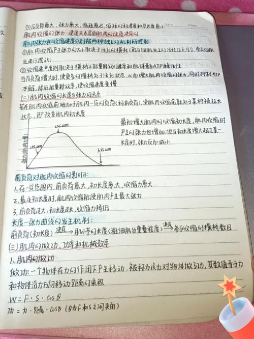 运动生理学（运动生理学王瑞元2012pdf）