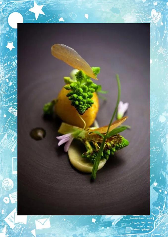 分子料理（创意菜谱图片和做法）