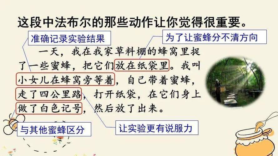 蜜蜂的舞蹈语言（蜜蜂的舞蹈语言董诗浩）