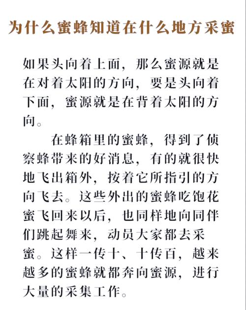 蜜蜂的舞蹈语言（蜜蜂的舞蹈语言董诗浩）