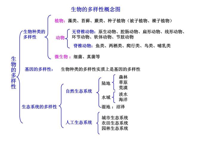 生物多样性（生物多样性包括哪三种）