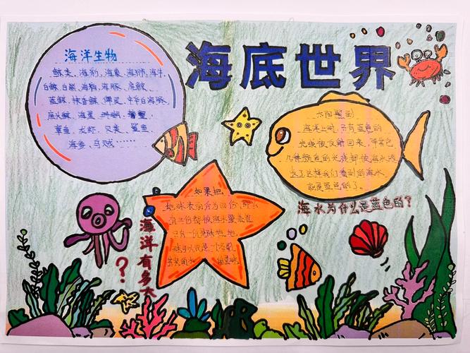海洋奥秘（海洋奥秘手抄报内容）