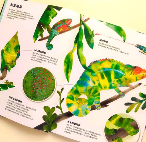 动物伪装术(动物伪装术合集)