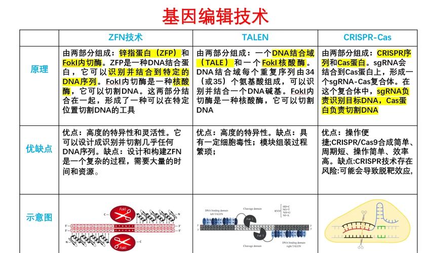 基因编辑（基因编辑的原理）
