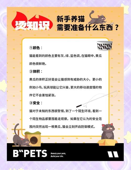 猫为什么怕黄瓜？（猫为什么怕黄瓜主要原因）