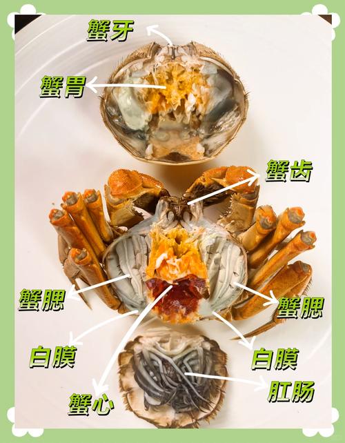 大闸蟹清蒸做法步骤（大闸蟹清蒸做法步骤视频）