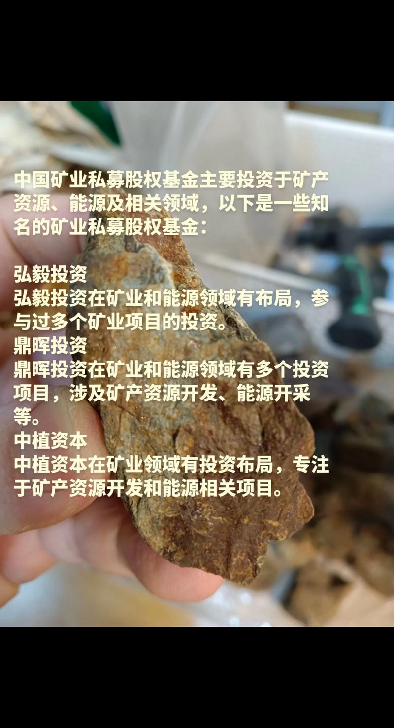 巴西淡水河谷公司2025年利用废料生产的矿石产量翻番