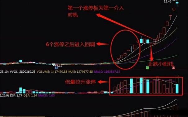 贺强3·15发声：涨跌停板异化为机构操纵工具！“封门战术”+“跌停板洗盘”收割散户