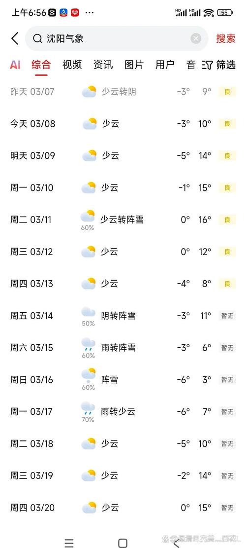 沈阳天气预报（沈阳天气预报15天准确天气查询表）
