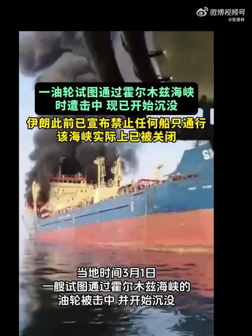 3月1日至今仅77艘船通过霍尔木兹海峡