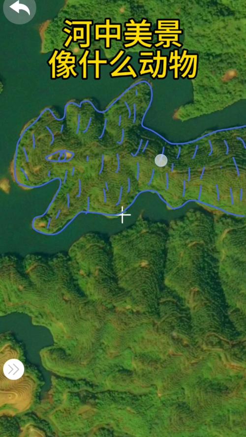 免费地图(免费地图3d卫星高清版)